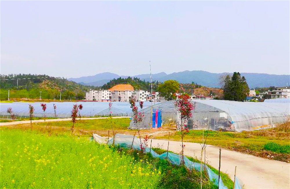 微信圖片_20210319145711.jpg