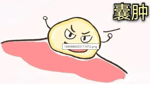 6.png